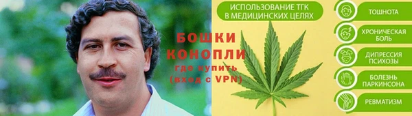 шишки Богородск