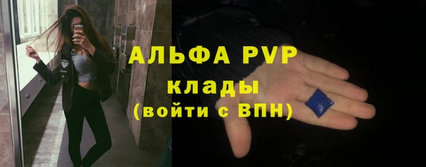 шишки Богородск