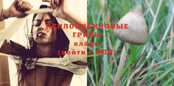 MESCALINE Богданович