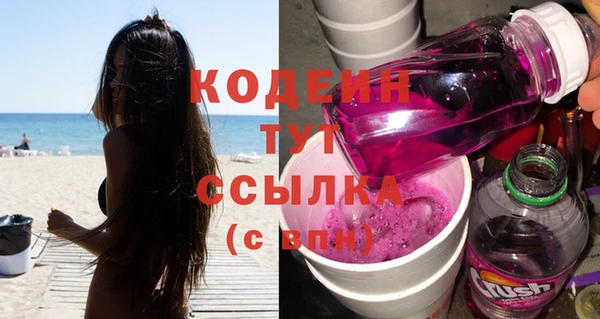 шишки Богородск