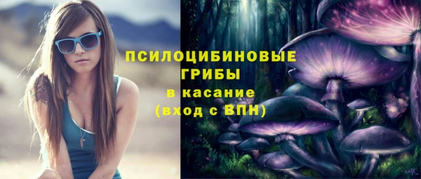 мескалин Богородицк